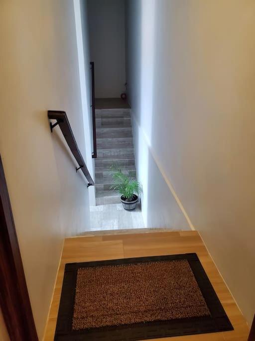 'The Solace' New Luxury Modern 1Bed 1Bath Apt. Portmore Eksteriør bilde