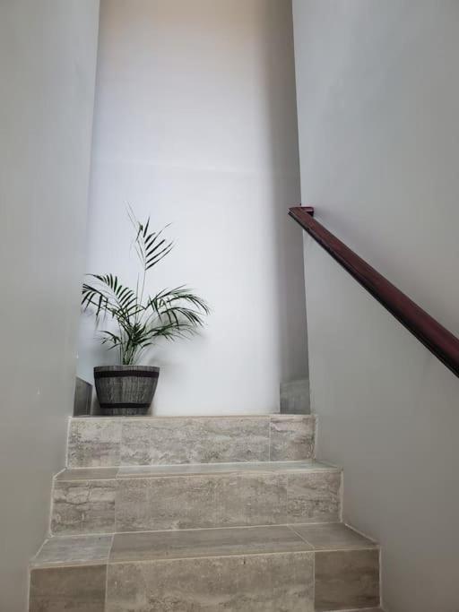 'The Solace' New Luxury Modern 1Bed 1Bath Apt. Portmore Eksteriør bilde